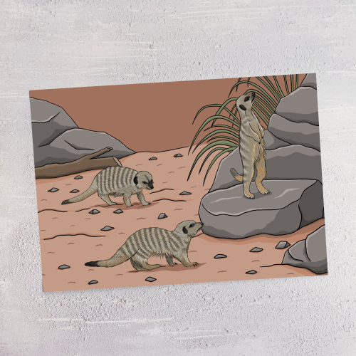 Meerkats A4 Print