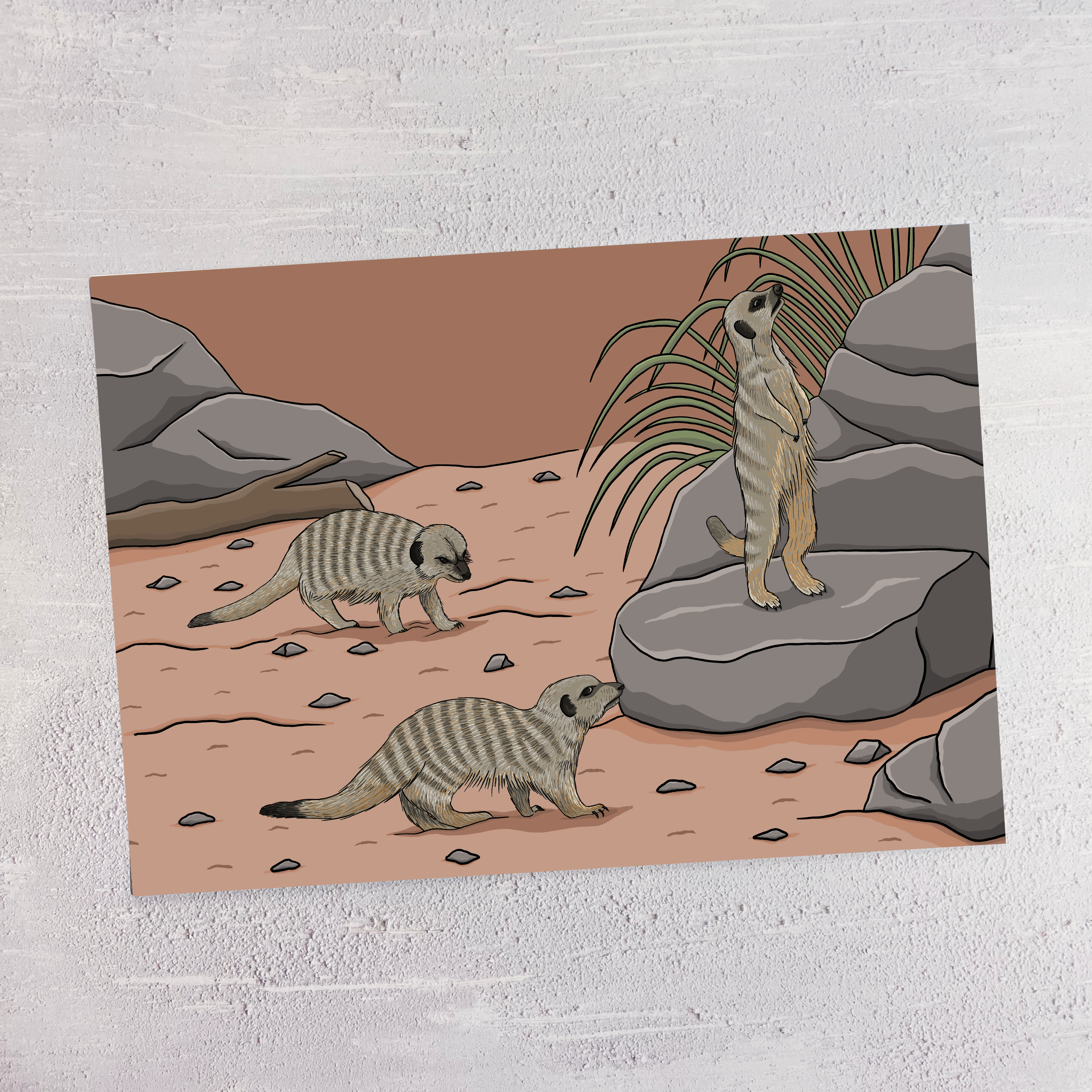 Meerkats A4 Print